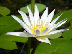 Stacks Image 10